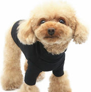 ドッグウェア ペットウェア カットソー 犬の服 犬服 猫の服 洋服 ペット用品 小型犬 ハイネック スタンドカラー 無地 シンプル お散歩 お出かけ おしゃれ かわいい いぬ ねこ