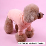 ドッグウェア ペットウェア カットソー 犬の服 犬服 猫の服 洋服 ペット用品 小型犬 ハイネック スタンドカラー 無地 シンプル お散歩 お出かけ おしゃれ かわいい いぬ ねこ