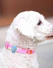 AirTagケース エアタグ 保護ケース カバー ケース ペット用 首輪 紛失防止 迷子防止 犬 猫 夜行 便利 簡単 取り付け