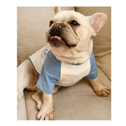 ペットウエア Tシャツ プルオーバー ドッグウエア 犬服 猫服 小型犬 中型犬 半袖 ラウンドネック ラグランスリーブ トップス カットソー 可愛い ペット用 カジュアル