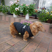 ペット用 犬用 洋服 ドッグウエア タンクトップ ベスト 袖なし トレーナー プルオーバー ノースリーブ 英字ロゴ SECURITY ドッグウェア かっこいい クール バイカラー 犬服 春夏秋 英語 超小型犬 XXS 小型犬 中型犬 無地 シンプル おしゃれ ホワイト ブラック ピンク イエロー