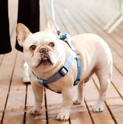 ハーネス リード 2点セット 犬用 ペット用品 胴輪 散歩紐 リーシュ グリップハンドル付き ワンタッチバックル 簡単装着 調節可能 お散歩 お出掛け ペットグッズ イヌ用