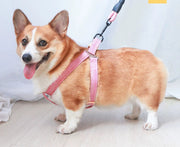 ハーネス リード 2点セット 犬用 ペット用品 胴輪 散歩紐 リーシュ グリップハンドル付き ワンタッチバックル 簡単装着 調節可能 お散歩 お出掛け ペットグッズ イヌ用