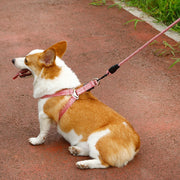 ハーネス リード 2点セット 犬用 ペット用品 胴輪 散歩紐 リーシュ グリップハンドル付き ワンタッチバックル 簡単装着 調節可能 お散歩 お出掛け ペットグッズ イヌ用