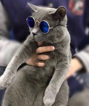 ペット用サングラス 犬 猫 アクセサリー ラウンド型カラーレンズ UVカット 紫外線対策 軽量 おしゃれ コスプレ コスチューム