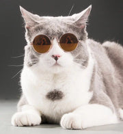 ペット用サングラス 犬 猫 アクセサリー ラウンド型カラーレンズ UVカット 紫外線対策 軽量 おしゃれ コスプレ コスチューム