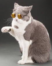ペット用サングラス 犬 猫 アクセサリー ラウンド型カラーレンズ UVカット 紫外線対策 軽量 おしゃれ コスプレ コスチューム