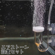 エアストーン 細かい泡 バブル バブルストーン エアーストーン セット 丸 細かい 吸盤 酸素 エアレーション 静音 魚 水槽 熱帯魚 さかな 空気石