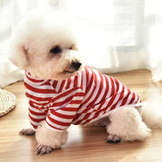 ドッグウェア カットソー 犬服 犬用品 ペット用品 ペット服 小型犬 中型犬 袖あり ハイネック ボーダー しましま シンプル おしゃれ カジュアル お出かけ 普段着 抜け毛対策 赤 橙 青 黒