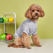ペット用トレーナー ペットウェア 犬服 猫服 犬用ウェア ドッグウェア 無地 袖あり カラバリ豊富 可愛い おしゃれ お散歩 記念写真 ギフト プレゼント ワンちゃん イヌ ネコ ドッグ 青 黒 赤 紫 ローズ ピンク 白 グレー