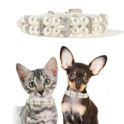 首輪 犬 猫 パール調 ビーズ ベルト ペットグッズ ペット用品 犬用品 猫用品 キラキラ おしゃれ かわいい ゴージャス チョーカー 超小型犬 小型犬 中型犬 姫 プリンセス おめかし お出かけ キュート