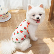 ペット用キャミソール イヌ用キャミソール 小型犬 中型犬 猫 ネコ 小動物用 ノースリーブ 袖なし プルオーバー 薄手 シースルー 総柄 イチゴ ドット 水玉 カラフル 可愛い キュート ポップ カジュアル おしゃれ 春 夏