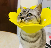 エリザベスカラー ペット用品 犬 猫 イヌ ネコ ソフト スナップボタン 手術後 傷なめ防止 傷舐め防止 ケア用品 ひっかき防止 引っかき 怪我 けが 手術 傷口保護 噛み 皮膚 アレルギー 簡単装着 フラワー お花 キュート プロテクター やわらかい かわいい ポップ 軽量 柔らかい XS S M L 小型犬 レッド 赤 イエロー 黄色 パープル 紫ピンク オレンジ グリーン ブルー 青 緑
