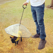 ペット用傘 透明傘 ビニール傘 犬用 小型犬 お散歩グッズ レイングッズ チェーン付き お出かけ 雨天 雨の日 ペット用品 イヌ いぬ ドッグ クリア シンプル かさ カサ アンブレラ 簡単 便利