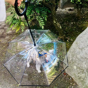 ペット用傘 透明傘 ビニール傘 犬用 小型犬 お散歩グッズ レイングッズ チェーン付き お出かけ 雨天 雨の日 ペット用品 イヌ いぬ ドッグ クリア シンプル かさ カサ アンブレラ 簡単 便利