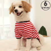ペットウェア ドッグウェア カットソー 犬服 猫服 小型犬 中型犬 半袖 薄手 ボーダー おしゃれ かわいい カジュアル カラフル