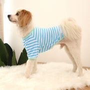 ペットウェア ドッグウェア カットソー 犬服 猫服 小型犬 中型犬 半袖 薄手 ボーダー おしゃれ かわいい カジュアル カラフル