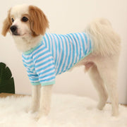 ペットウェア ドッグウェア カットソー 犬服 猫服 小型犬 中型犬 半袖 薄手 ボーダー おしゃれ かわいい カジュアル カラフル