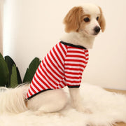 ペットウェア ドッグウェア カットソー 犬服 猫服 小型犬 中型犬 半袖 薄手 ボーダー おしゃれ かわいい カジュアル カラフル