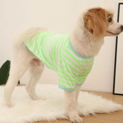 ペットウェア ドッグウェア カットソー 犬服 猫服 小型犬 中型犬 半袖 薄手 ボーダー おしゃれ かわいい カジュアル カラフル