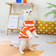 ペットウェア トレーナー フリース プルオーバー 猫服 犬服 洋服 キャットウェア ドッグウェア 袖あり 暖かい あったか ボーダー柄 お洒落 可愛い ペット服