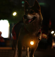 首輪用チャーム 単品 首輪アクセサリー ペット用アクセサリー LEDライト 光る チャーム 電池式 犬 ドッグ 散歩 夜間 球 丸 ラウンド ペット用品 ペットグッズ