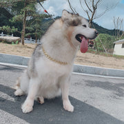 犬用ネックレス 犬用アクセサリー 首輪 チェーン 喜平チェーン ゴールドカラー アクセサリー 小物 犬用 ペット 鎖 小型犬 中型犬 大型犬 サイズ調整 太め 大きめ フック おしゃれ ゴージャス 重厚感 シンプル ラグジュアリー 光沢 ペット用品