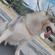 犬用ネックレス 犬用アクセサリー 首輪 チェーン 喜平チェーン ゴールドカラー アクセサリー 小物 犬用 ペット 鎖 小型犬 中型犬 大型犬 サイズ調整 太め 大きめ フック おしゃれ ゴージャス 重厚感 シンプル ラグジュアリー 光沢 ペット用品