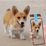 クリップ ペット用品 犬 イヌ DOG 猫 ネコ CAT カメラ目線 写真 撮影 自撮り わんちゃん ねこちゃん 取り外し簡単