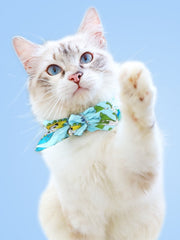 ペット用バンダナ バンダナ クールバンダナ 冷感 犬 猫 犬猫兼用 ペット オシャレ かわいい 小型犬 中型犬 暑さ対策 ひんやり デザイン豊富