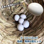 偽卵 擬卵 4個セット 12×16mm ダミー卵 フェイク卵 小鳥 愛鳥 セキセイインコ 繁殖抑制 長寿 抱卵 個体数管理 フェイクバードエッグ カナリア 文鳥