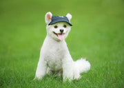 犬 帽子 犬用 キャップ あごひも付き サンバイザー ペット用 小型犬 中型犬 大型犬 ドッグ 耳穴 夏 夏物 犬服 ペット服 被り物 春 秋 あご紐 サイズ調整可能 日除け 熱中症対策 お散歩 おしゃれ かわいい 帆布 ブラック 無地 レッド