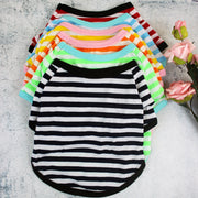 ドッグウェア 犬服 Tシャツ ペット用 小型犬 犬 猫 半袖 カットソー 洋服 ボーダー柄 プルオーバー カジュアル 薄手 春夏 プリント パイピング シンプル おしゃれ お洒落 中型犬 いぬ イヌ DOG ねこ ネコ キャット CAT ギフト 贈り物 お散歩 お出かけ 秋