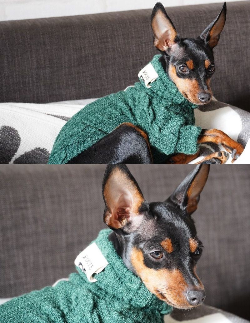 ペットウエア ケーブルニット セーター 犬 猫 小型犬 商品画像4