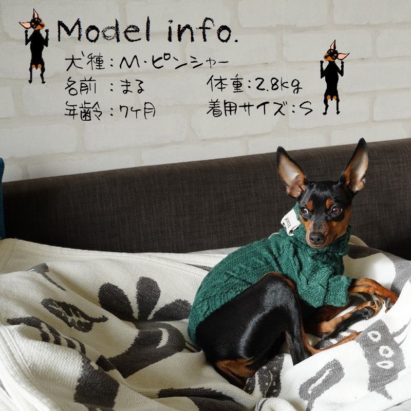 ペットウエア ケーブルニット セーター 犬 猫 小型犬 商品画像5