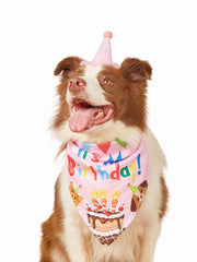 ペット用帽子 ペット用スカーフ 2点セット 犬用 猫用 お誕生日 バースデー Birthday ハット スタイ 写真撮影 お祝い コスプレ かわいい