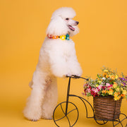 ペット用チョーカー 首飾り アクセサリー 犬用 猫用 小型犬 フラワー お花 おしゃれ かわいい カラフル 面ファスナー おめかし お散歩 お出かけ ギフト プレゼント いぬ イヌ ネコ ネコ キャットグッズ