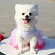 ドッグウェア ペットウェア ワンピース ペット用 犬 いぬ イヌ ハート リボン フリル かわいい キュート おしゃれ