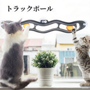 トラックボール トラックンロール ペット用 猫用 猫用品 おもちゃ ボール 窓 転がる コロコロ 吸盤式 猫用おもちゃ 運動不足対策 一人で遊べる ストレス解消