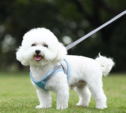 ハーネス リード 2点セット ペットグッズ ペット用品 犬用 猫用 リーシュ 散歩紐 お散歩グッズ お出かけ 牽引紐 反射材付き メッシュ おしゃれ いぬ 小型犬 夜のお散歩