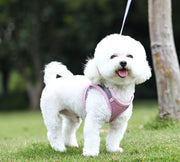 ハーネス リード 2点セット ペットグッズ ペット用品 犬用 猫用 リーシュ 散歩紐 お散歩グッズ お出かけ 牽引紐 反射材付き メッシュ おしゃれ いぬ 小型犬 夜のお散歩