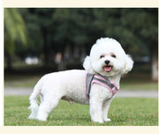 ハーネス リード 2点セット ペットグッズ ペット用品 犬用 猫用 リーシュ 散歩紐 お散歩グッズ お出かけ 牽引紐 反射材付き メッシュ おしゃれ いぬ 小型犬 夜のお散歩