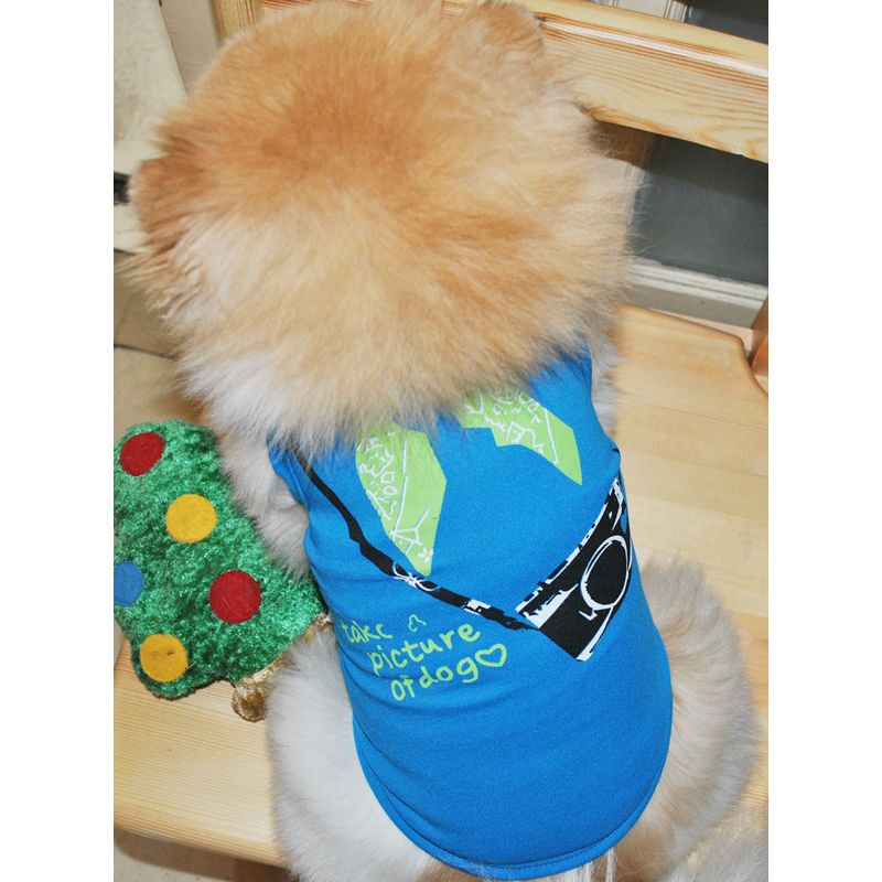 犬服 ドッグウェア ドッグウエア プリントTシャツ ノースリーブ タンクトップ 商品画像3