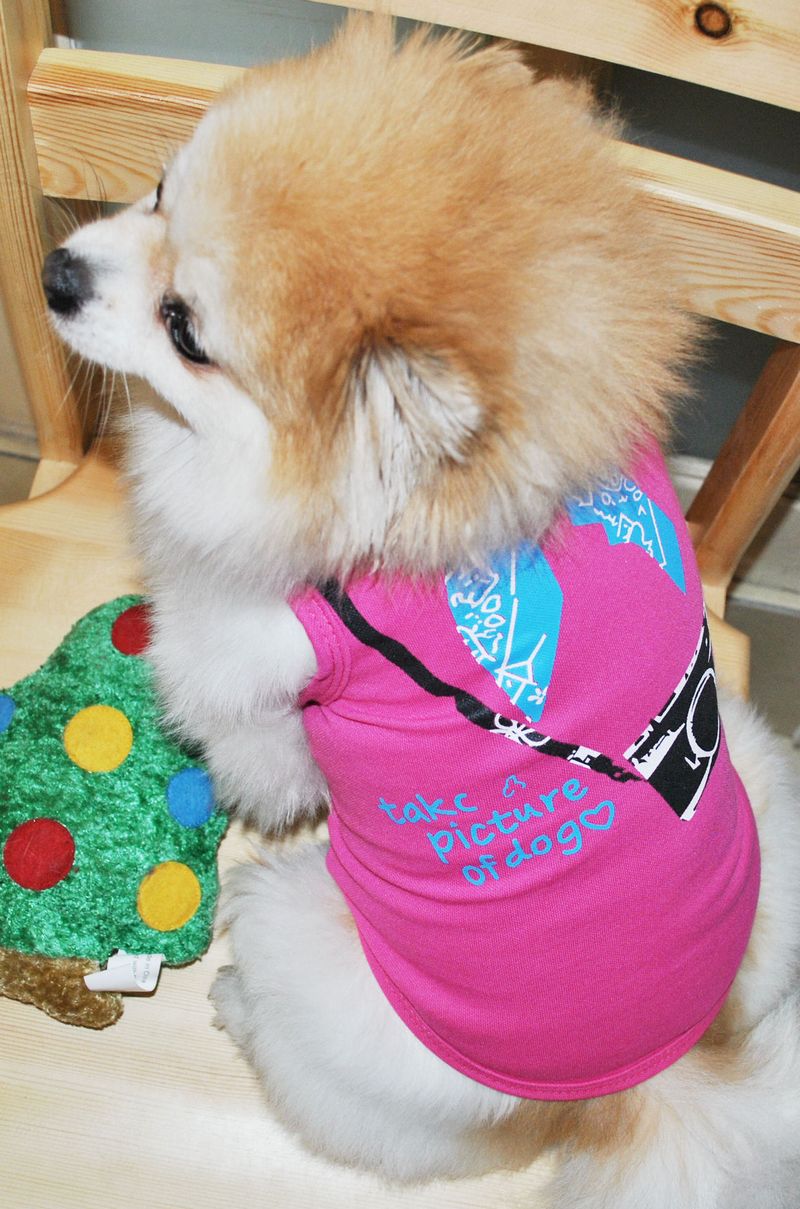 犬服 ドッグウェア ドッグウエア プリントTシャツ ノースリーブ タンクトップ 商品画像4