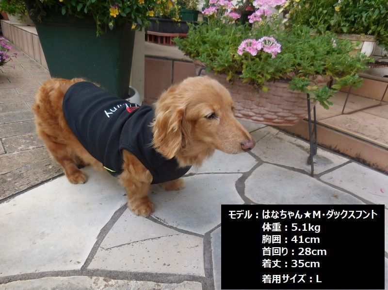 ペット用 犬用 洋服 ドッグウエア プルオーバー 袖なし 商品画像3