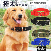 首輪 犬用 大型犬 中型犬 極太 幅広 首の負担軽減 イヌ ペット用品 ベルトタイプ 幅広 圧力分散 お散歩 お出かけ サイズ調節可能 無地 単色 シンプル  ブラック 黒 レッド ブルー 赤 青 グリーン ゴールデンレトリバー ラブラドール プードル シベリアンハスキー コリー シェルティ