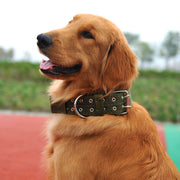 首輪 犬用 大型犬 中型犬 極太 幅広 首の負担軽減 イヌ ペット用品 ベルトタイプ 幅広 圧力分散 お散歩 お出かけ サイズ調節可能 無地 単色 シンプル  ブラック 黒 レッド ブルー 赤 青 グリーン ゴールデンレトリバー ラブラドール プードル シベリアンハスキー コリー シェルティ