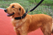 首輪 犬用 大型犬 中型犬 極太 幅広 首の負担軽減 イヌ ペット用品 ベルトタイプ 幅広 圧力分散 お散歩 お出かけ サイズ調節可能 無地 単色 シンプル  ブラック 黒 レッド ブルー 赤 青 グリーン ゴールデンレトリバー ラブラドール プードル シベリアンハスキー コリー シェルティ