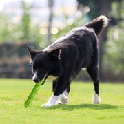 犬用おもちゃ 噛むオモチャ ラバートイ スティック 棒 ドッグ ペットトイ 玩具 デンタルケア 歯磨き 歯石予防 突起 運動不足 ストレス解消 歯の健康