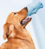 ペット用おもちゃ ペットトイ 噛むおもちゃ デンタルケア 犬 ドッグ 玩具 歯磨き 歯ブラシ 歯石予防 ギザギザ ストレス解消 遊ぶ サボテン型 スティック型 可愛い シンプル ペット用品 ペットグッズ